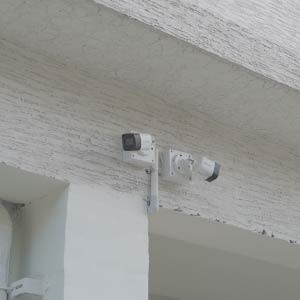 Nest Euphoria