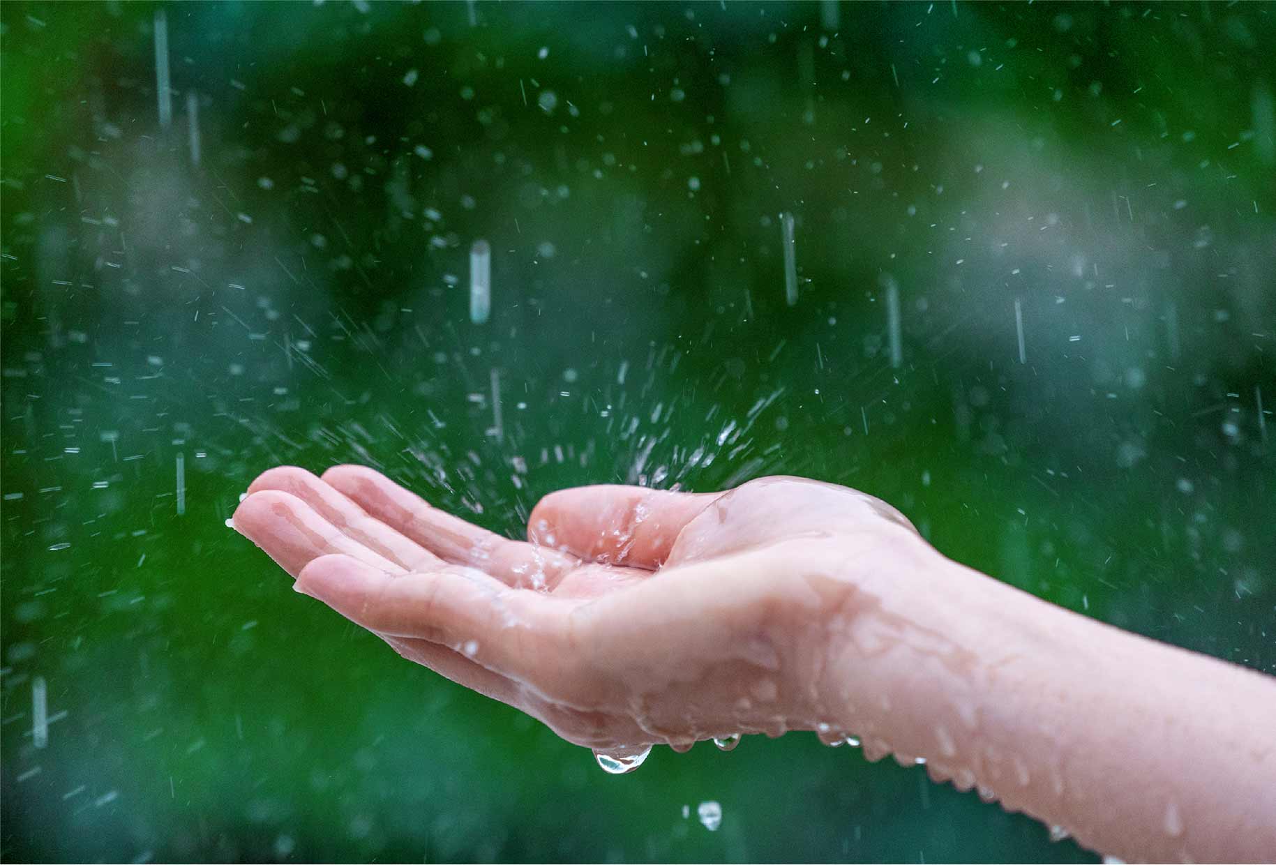 Nest Icon Rainwater Harvesting